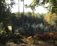 2025-10-13 09-44-13_004 E-M1MarkIII Ebbeskov