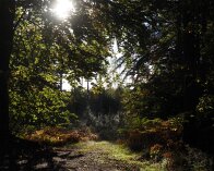 2025-10-13 09-46-32_006 E-M1MarkIII Ebbeskov