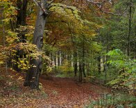 2025-11-02 11-02-20_008 E-M1MarkIII_DxO Gåtur rundt om Hvidsø