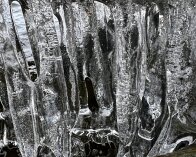 2026-01-29 10-52-33_009 iPhone 13 Pro Is, Kimmerslev sø